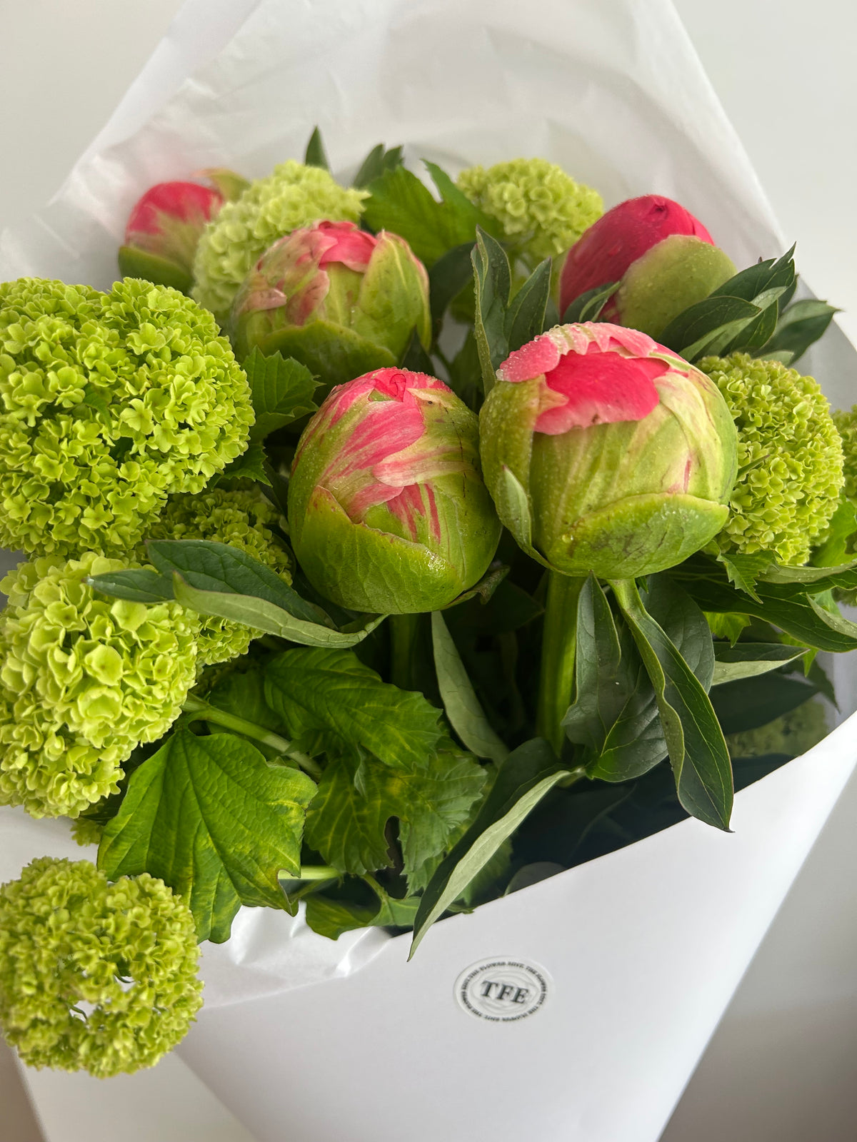 Peony Bundle