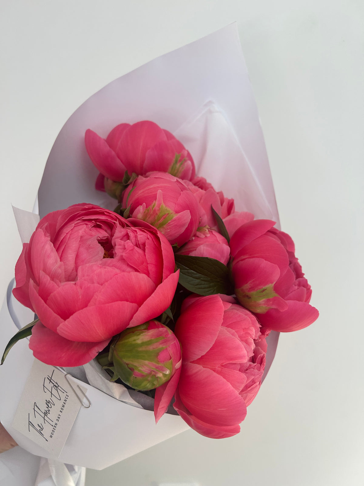 Peony Bundle