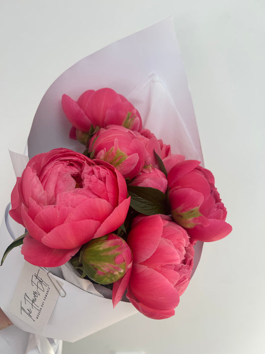 Peony Bundle