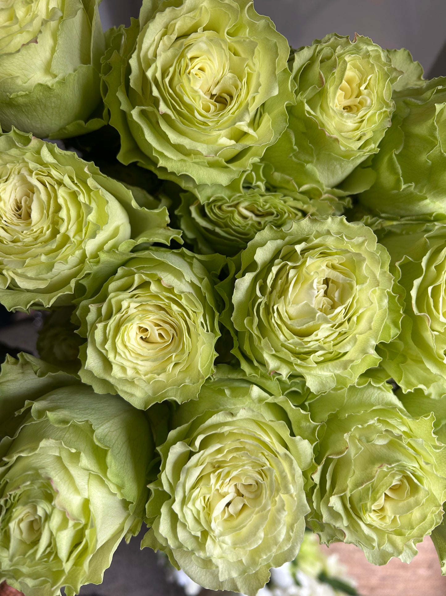 Rose Bundle