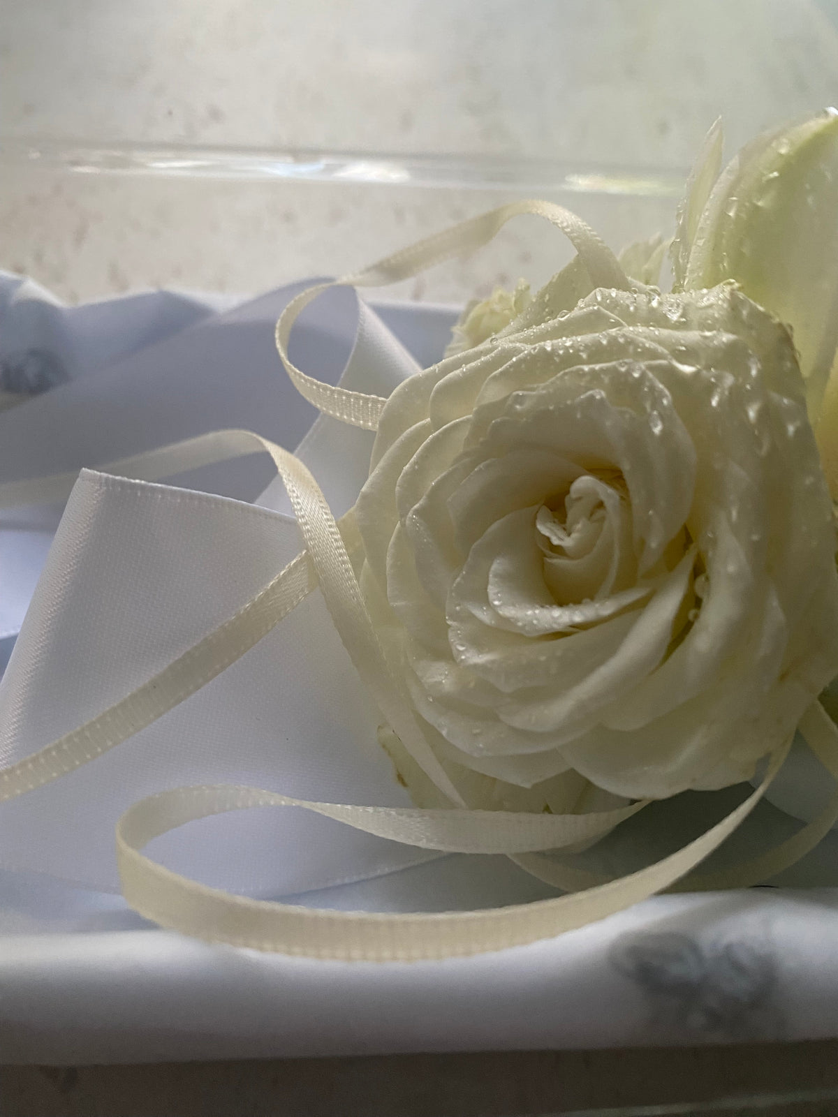 Ball Corsage combo - wrist ribbon and buttonhole
