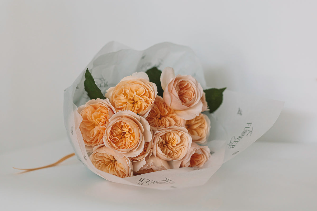 Rose Bundle